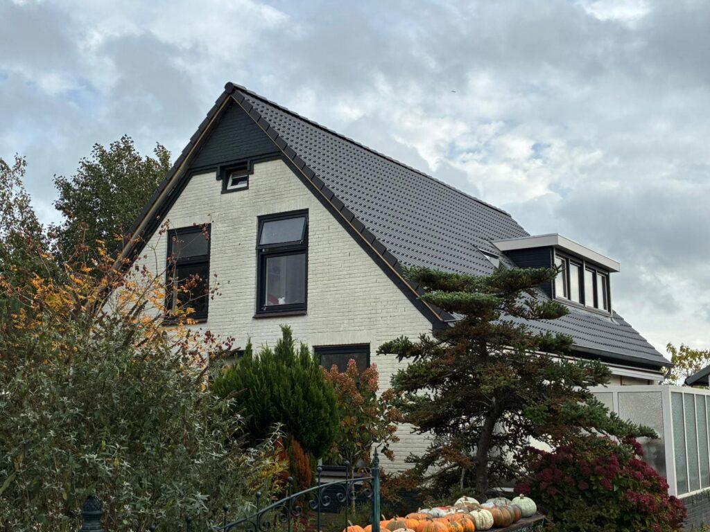 Renovatie van dakkapellen
